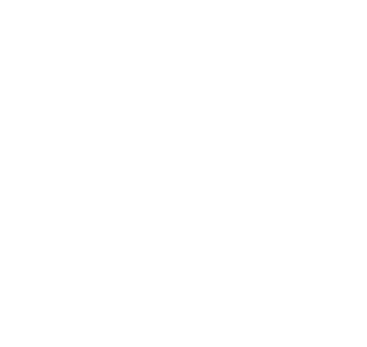 Ledermax