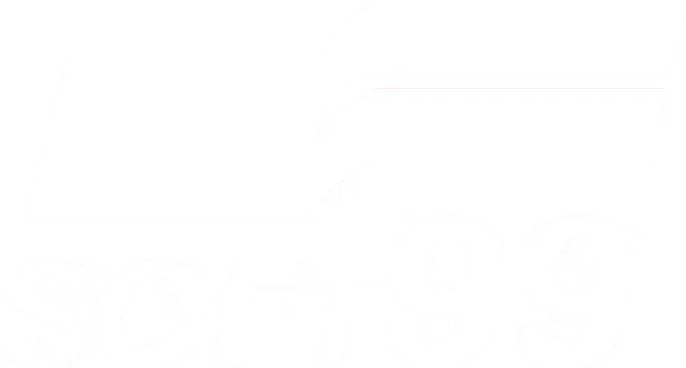Soft99